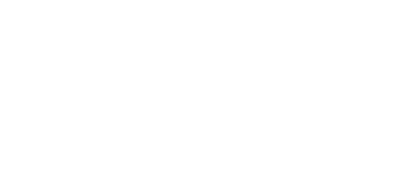 Celebramos Bonito