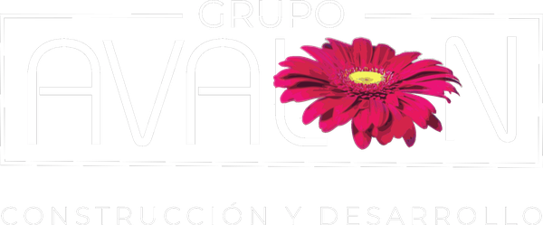 Grupo Avalon